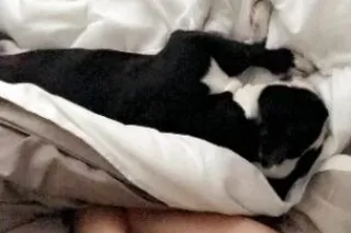 👠💦Horny girl ready to give you pleasure👠💕bed room funtime💕Outcall service💕hotel fun💕party fun💕 - Image 1